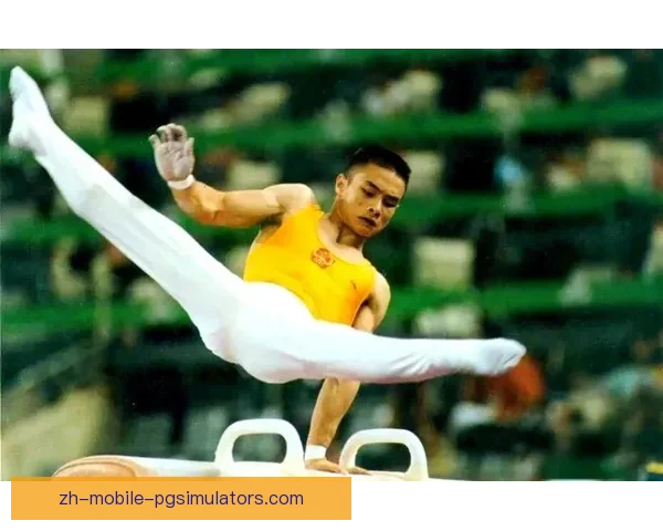 体操联赛风云：挑战与荣耀